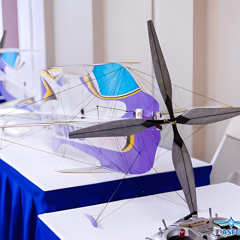 AM Coaxial(coaxial motor+AM06A ESC+ 17.5 Props(2pcs) thrust system(1S) with 17.5 inch props For F3P - 图片 2