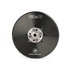 P80III Pin KV100P Type Multirotor Motors